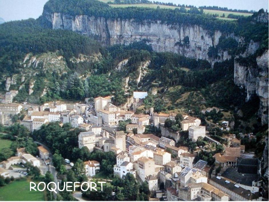 הוילה Saint-Rome-de-Tarn Les Palmiers Des Causses מראה חיצוני תמונה