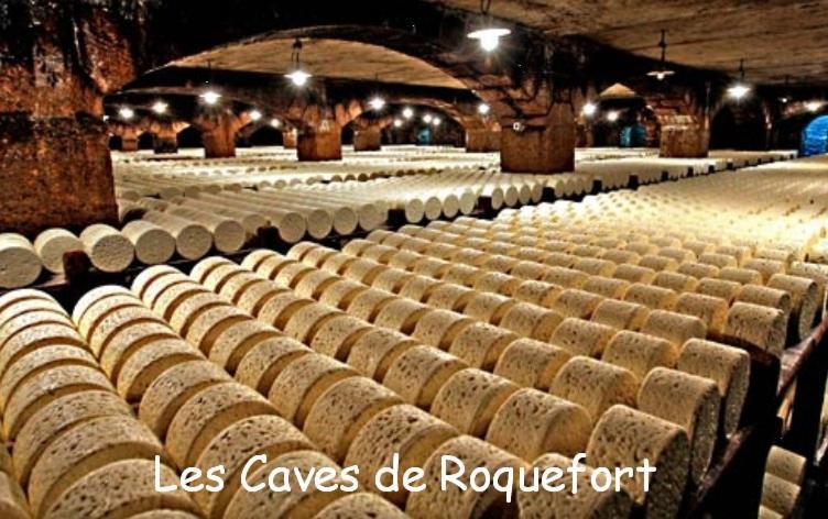 הוילה Saint-Rome-de-Tarn Les Palmiers Des Causses מראה חיצוני תמונה