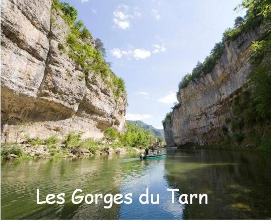 הוילה Saint-Rome-de-Tarn Les Palmiers Des Causses מראה חיצוני תמונה