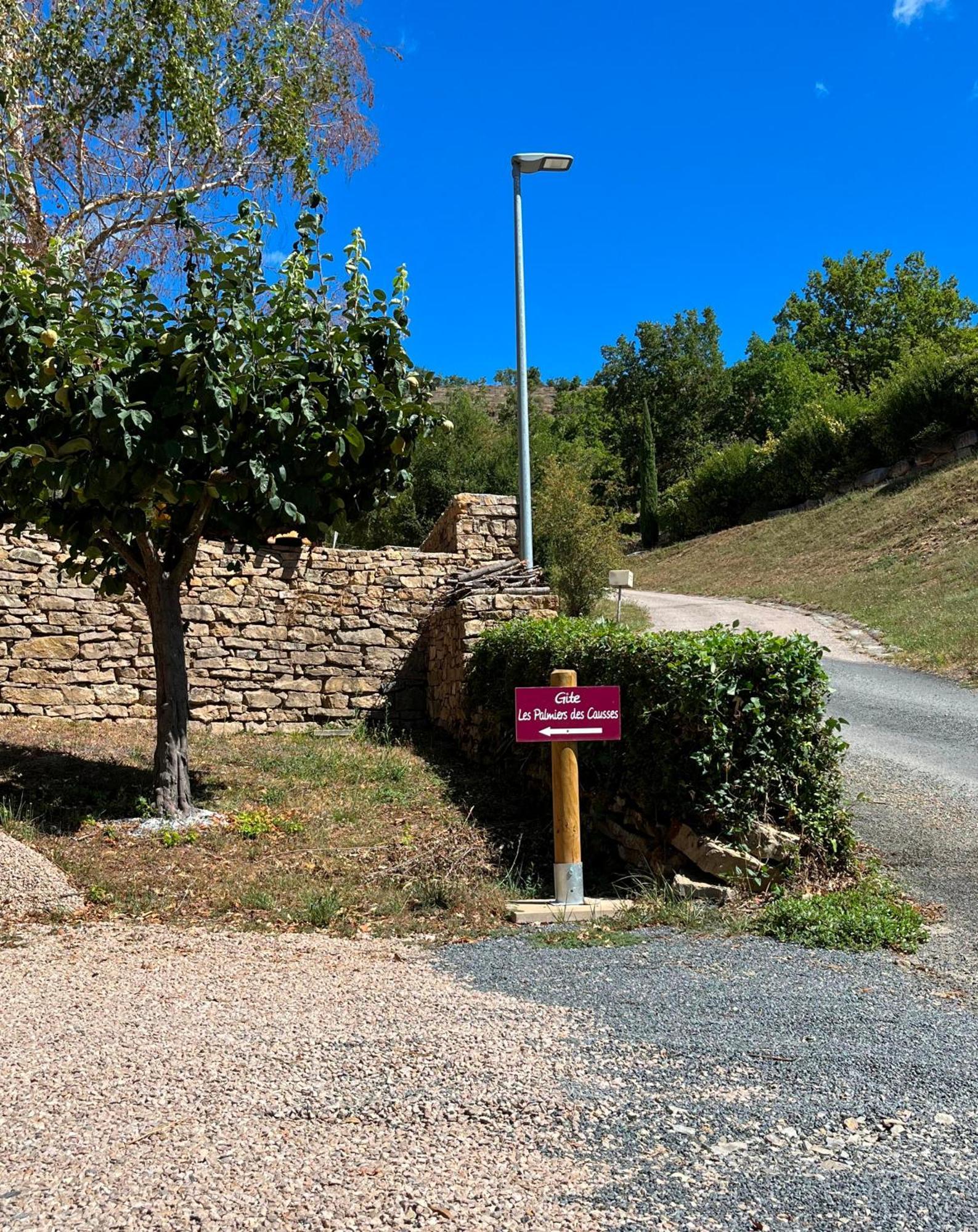הוילה Saint-Rome-de-Tarn Les Palmiers Des Causses מראה חיצוני תמונה
